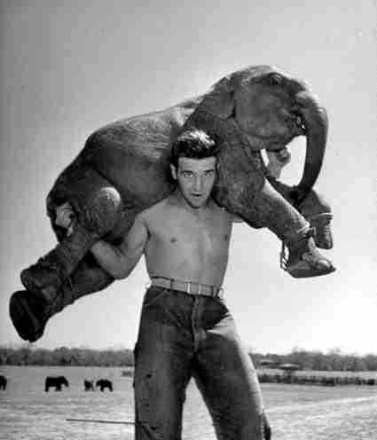 Elephant trainer Rex Williams